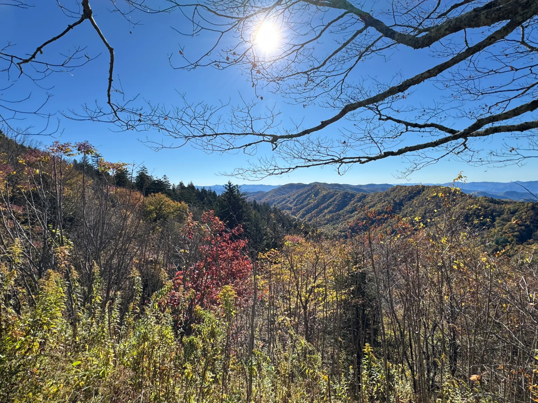 5 Best Places to See Fall Colors in East Tennessee — a scenic East Tennessee view